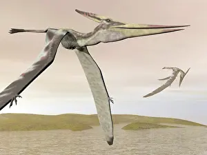 Pteranodon: Two pteranodons flying over small islands