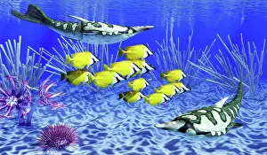 Lilies: Pteraspis armored fish hunting a school of foxface