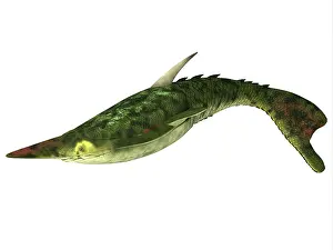 Caudal: Pteraspis is an extinct genus of jawless fish