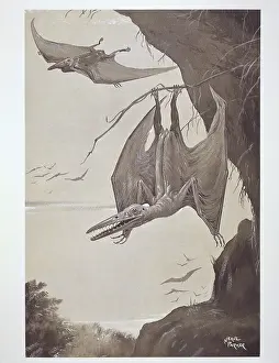 Neave: Pterodactyl