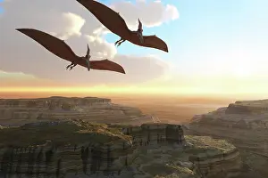 Terrible: Two Pterodactyl flying dinosaurs soar above a beautiful ?