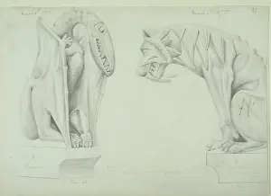 Pterodactyloidea: Pterodactyl and scimitar-toothed lion design