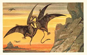 Tiere Der Urwelt: Two pterodactyls fighting in mid flight against