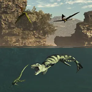 Split: Pterodactylus flying over a Dakosaurus attacking