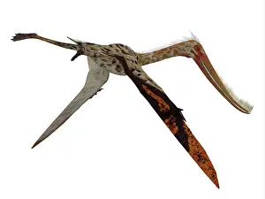 Feeders: Pterodaustro pterosaur