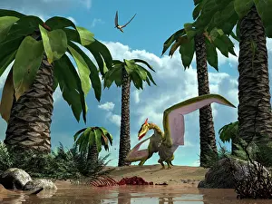 Cycad: A pterosaur flying reptile lands next to some carrion