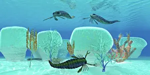 Scorpion: Pterygotus swimming in prehistoric waters