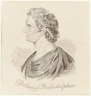 Philadelphus: PTOLEMY PHILADELPHUS