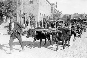 Angora: Public life in Turkey, 1924