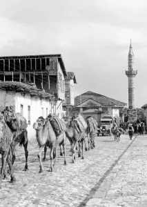 Camels: Public life in Turkey, 1933