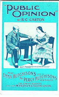 Wyndhams: Public Opinion by R C Carton