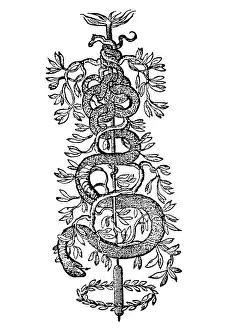 Printings: Publisher's mark of Franziscus Fabrum, 1609