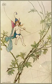 Cobweb: Puck on spider's thread