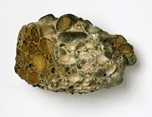 Cement: Puddingstone