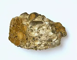 Coarse: Puddingstone