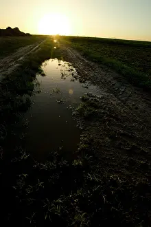 Loos: Puddle in the sun near to Loos Road Redoubt
