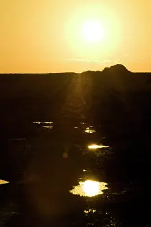 Redoubt: Puddle in the sun near to Loos Road Redoubt