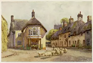Puddletown: PUDDLETOWN/DORSET/1910