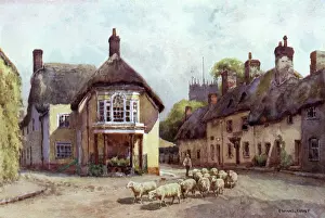 Constitute: PUDDLETOWN, DORSET