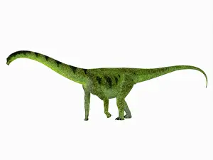 Macronaria: Puertasaurus dinosaur side view