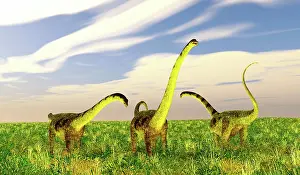 Plains: Puertasaurus dinosaurs in a grassy field
