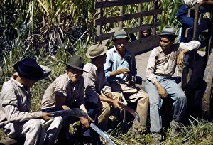 Piedras: Puerto Rico. Sugar cane workers resting ?
