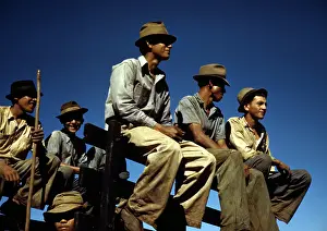 Piedras: Puerto Rico. Sugar cane workers resting ?
