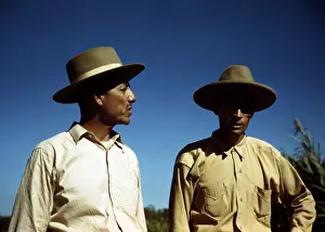 Piedras: Puerto Rico. Sugar cane workers, vicinity ?