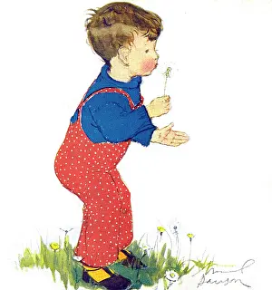Muriel Dawson Collection: Puff Ball by Muriel Dawson