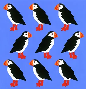 Puffins: Puffins ? gift wrap design