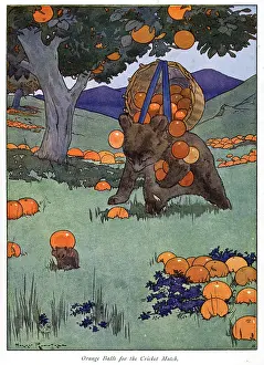 Nesbit: Pug Peter -- a bear gathering fallen oranges