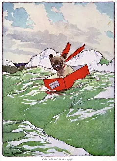 Nesbit: Pug Peter -- dog riding waves in a box