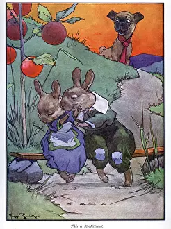 Voyeur: Pug Peter -- dog watching rabbits