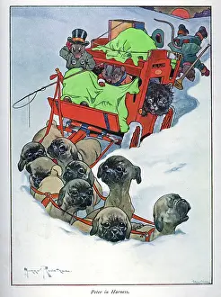 Nesbit: Pug Peter -- dogs pulling coach through snow