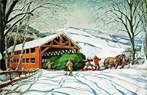 Roadway: Pulling Christmas Tree