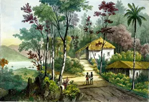 Sabatier: Pulo, Penang, Asia
