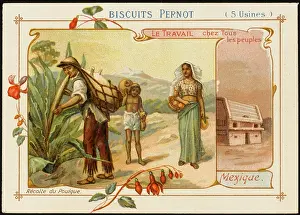 Fermented: Pulque, Mexico