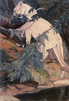 Livingston: Puma and Prey
