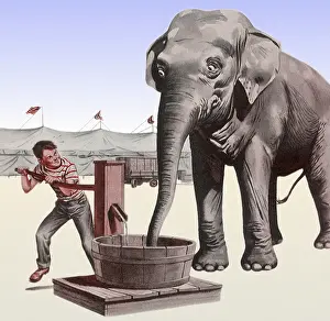 Pumping: Pumping Elephant's Water