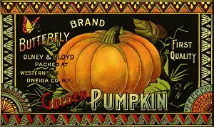 Pumpkin: Pumpkin Label