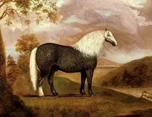 Equines: Punch