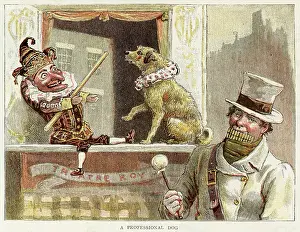Toby: PUNCH WITH TOBY THE DOG