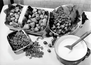 Redcurrants: PUNNETS OF FRUIT