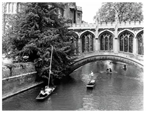 Sighs: PUNTING AT CAMBRIDGE 1