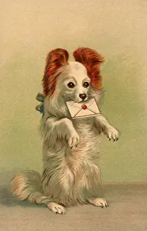 Bday: Pup with Birthday Wishes