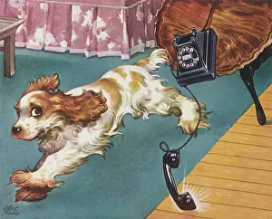 Canines: Pup Upsets Table, Phone