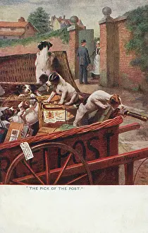Rifling: Puppies attaching the post - Ridways Tea Advertisement