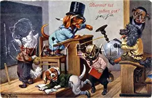 Misbehave: PUPPIES IN CLASSROOM