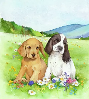 Flavell: Two Puppies ' Golden Retriever and Spaniel