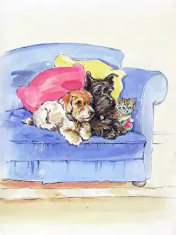 Matthes: Two Puppies and a Kitten on a Blue Sofa